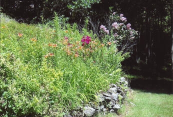 7 Lyons Falls Road Wells, VT 05774 - Photo 8 of 40 Gallery Image 8