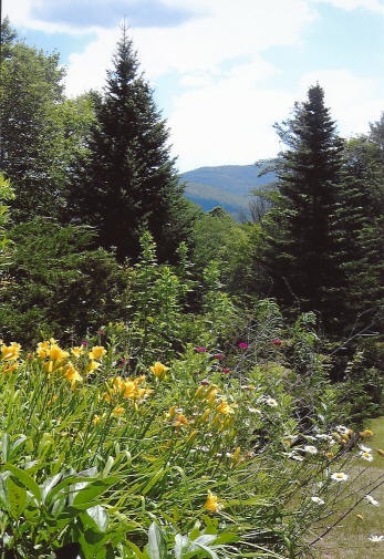 7 Lyons Falls Road Wells, VT 05774 - Photo 9 of 40 Gallery Image 9