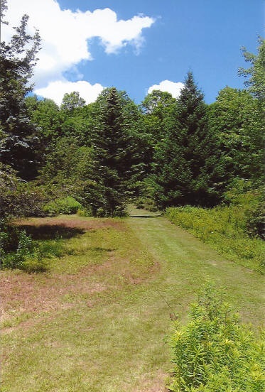 7 Lyons Falls Road Wells, VT 05774 - Photo 10 of 40 Gallery Image 10