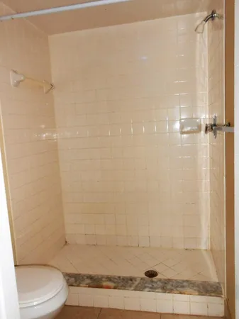 a bathroom with a shower and a toilet