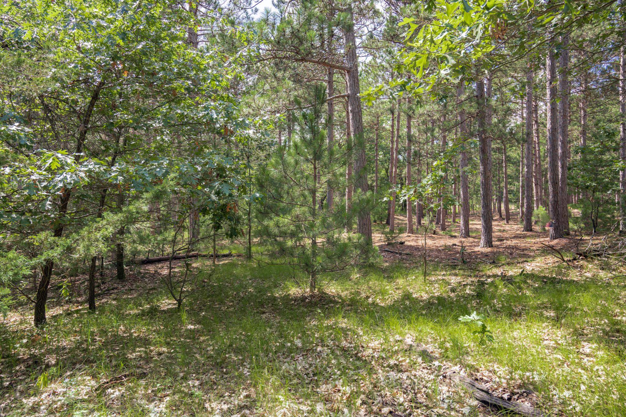 Lot 23 Dover Friendship, WI 53934 - Photo 5 of 15