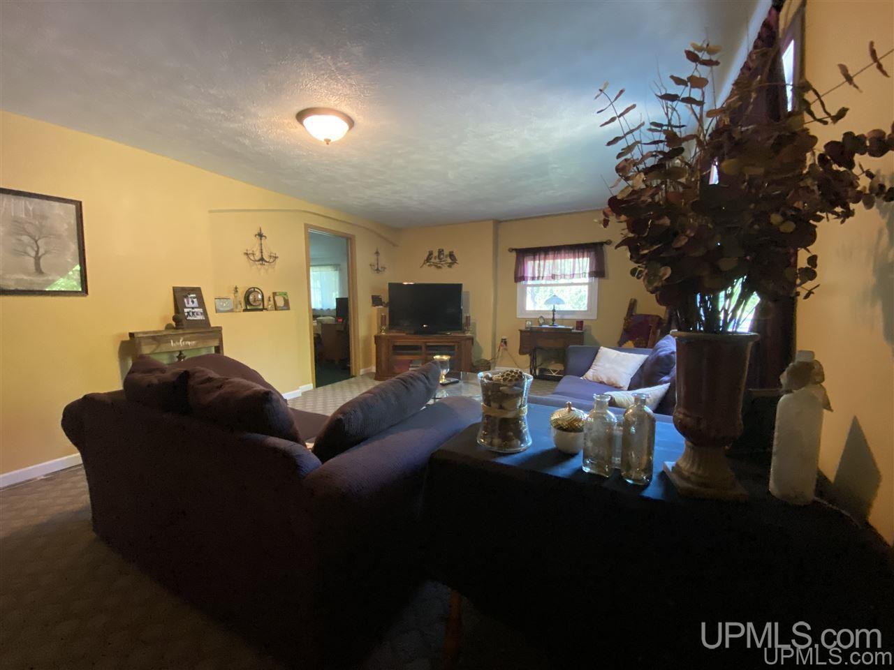 373 Town Hall Road Skandia, MI 49885 - Photo 17 of 47