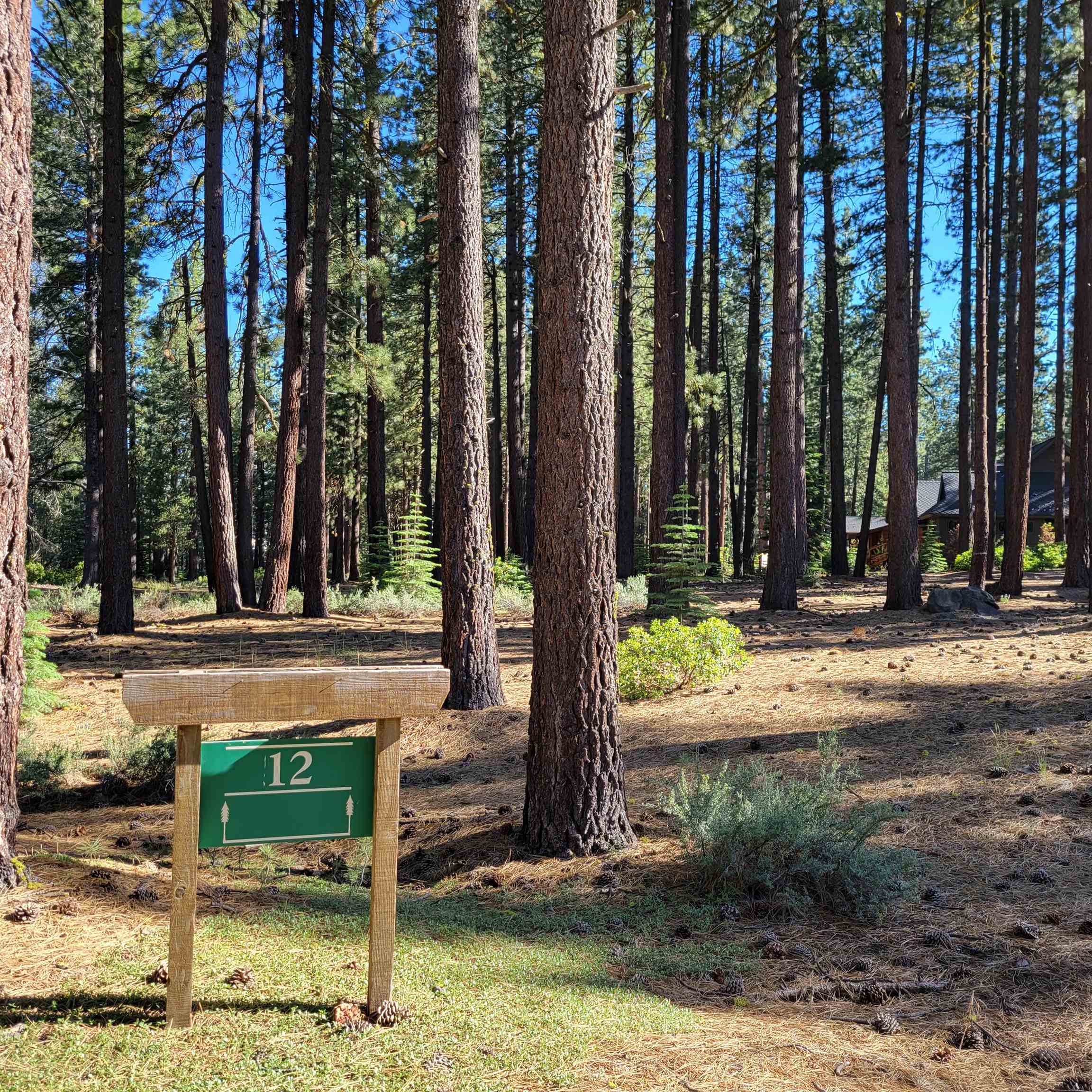 11097 Comstock Place Truckee, CA 96161 - Photo 1 of 7 a view of a park with trees
