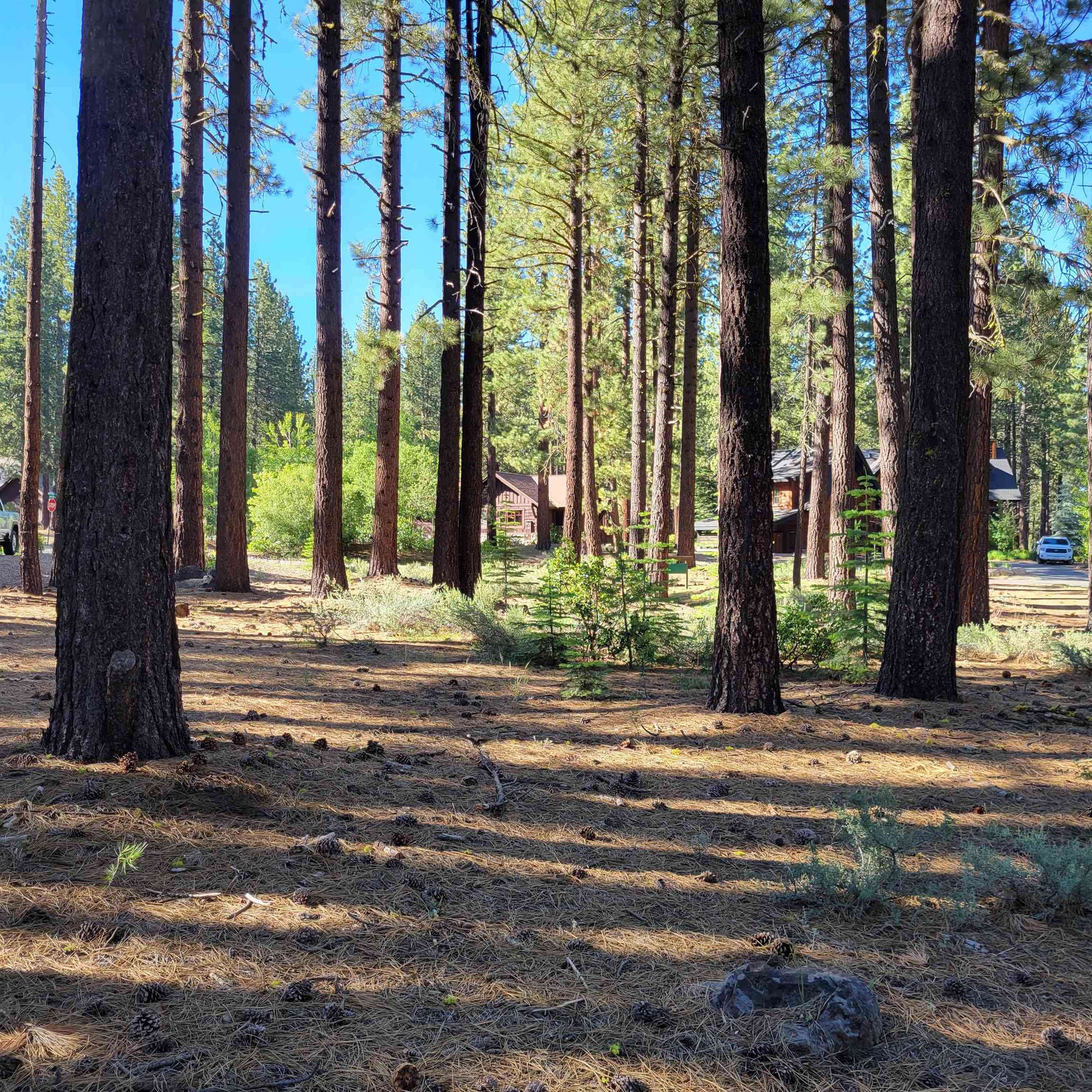 11097 Comstock Place Truckee, CA 96161 - Photo 4 of 7 a view of a entrance door of the house