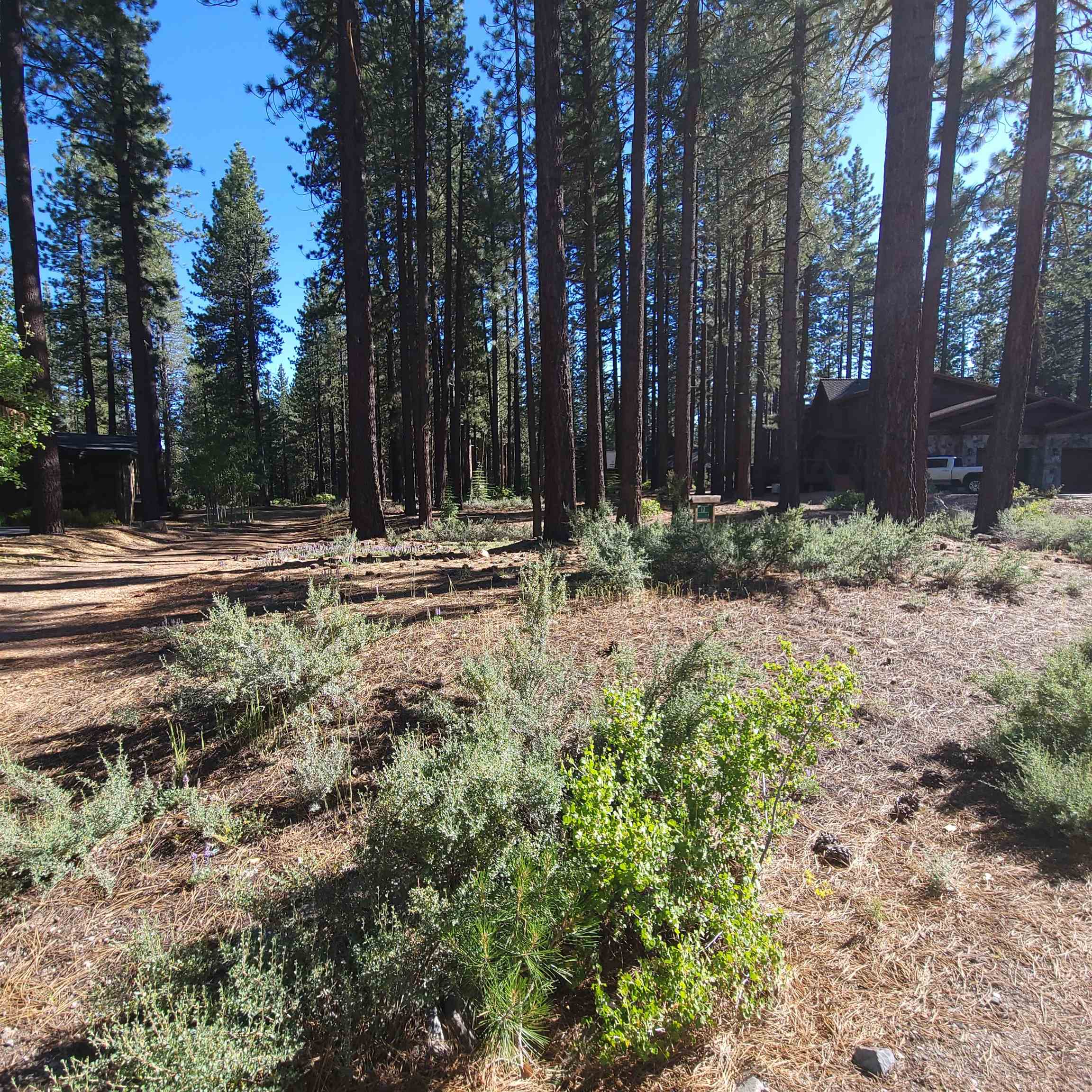 11097 Comstock Place Truckee, CA 96161 - Photo 5 of 7 a backyard of a house with trees and flowers