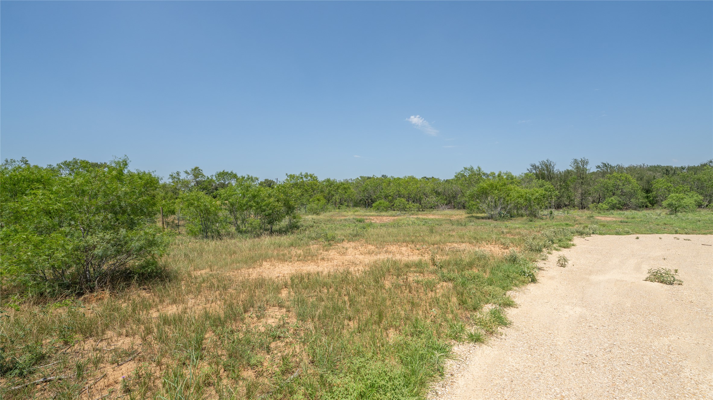 1121 Callihan Road Luling, TX 78648 - Photo 5 of 35 View of wooded area