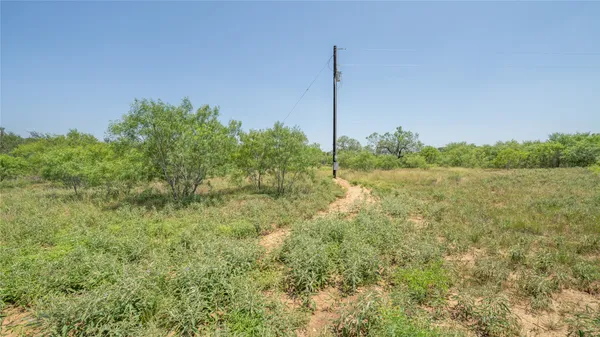 a view of a field with a tree in the background