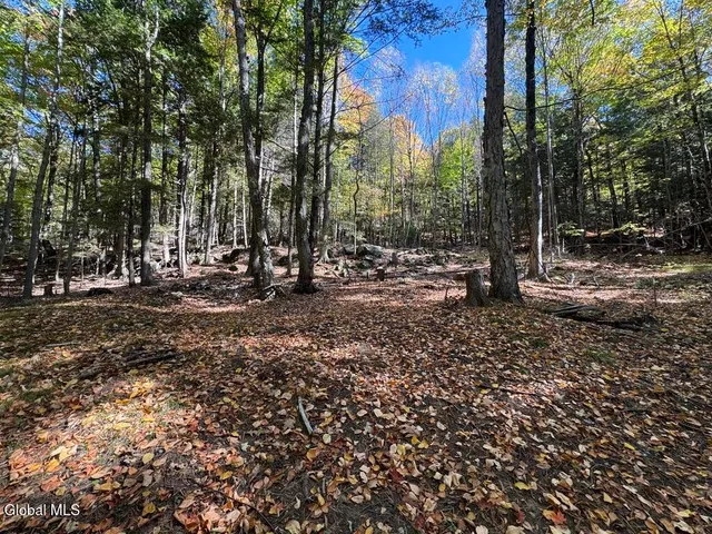 $275,000 | 40 Constitution Way, Kattskill Bay, NY 12844