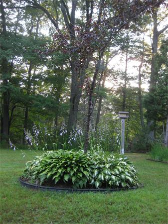 538 Old Petersham Road Barre, MA 01005 - Photo 3 of 7