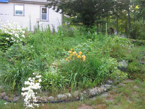 538 Old Petersham Road Barre, MA 01005 - Photo 5 of 7