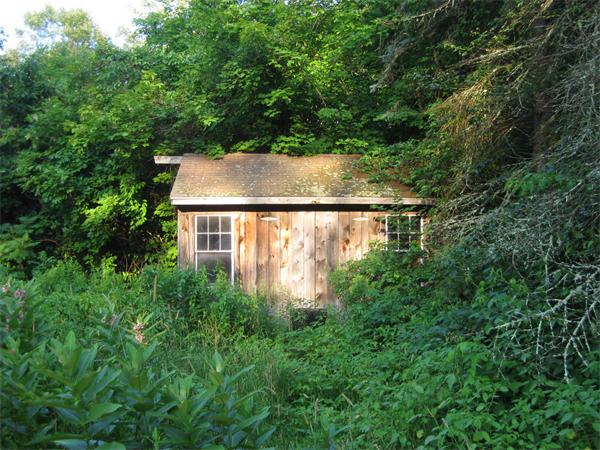 538 Old Petersham Road Barre, MA 01005 - Photo 6 of 7
