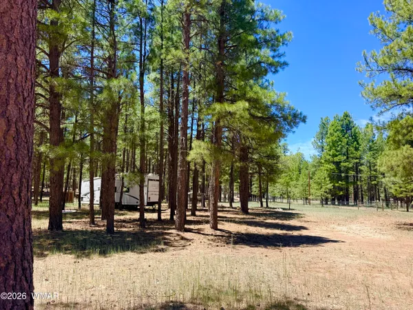 $169,500 | 2378 Blue Ridge Drive, Happy Jack, AZ 86024