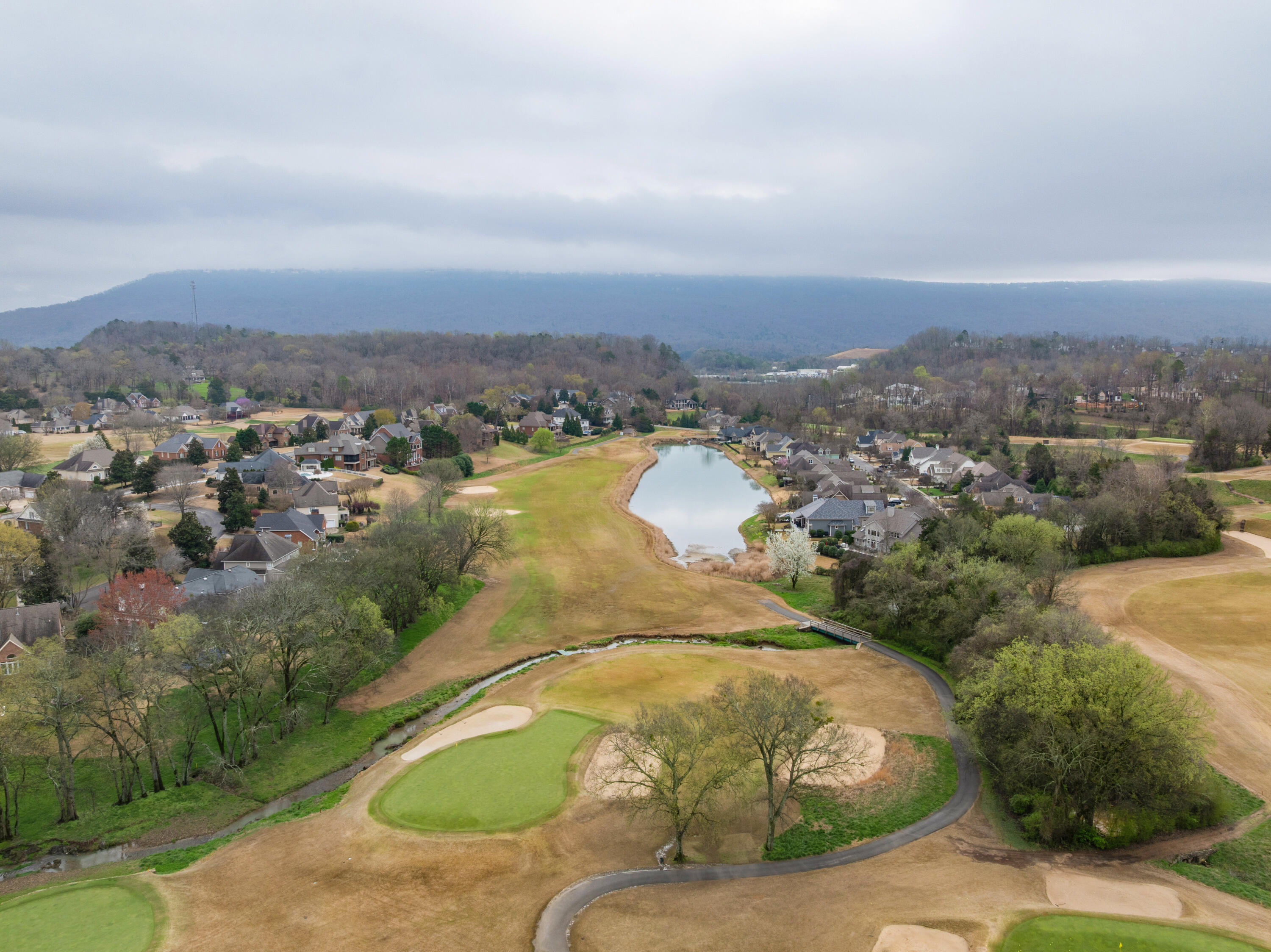 412 Renaissance Court Chattanooga, TN 37419 - Photo 34 of 35 12 - 412 Renaissance Ct - Drone