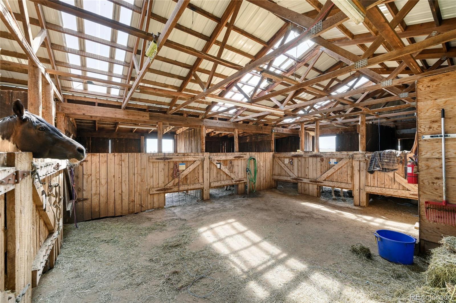 5430 Murr Road Peyton, CO 80831 - Photo 19 of 50 Gallery Image 19