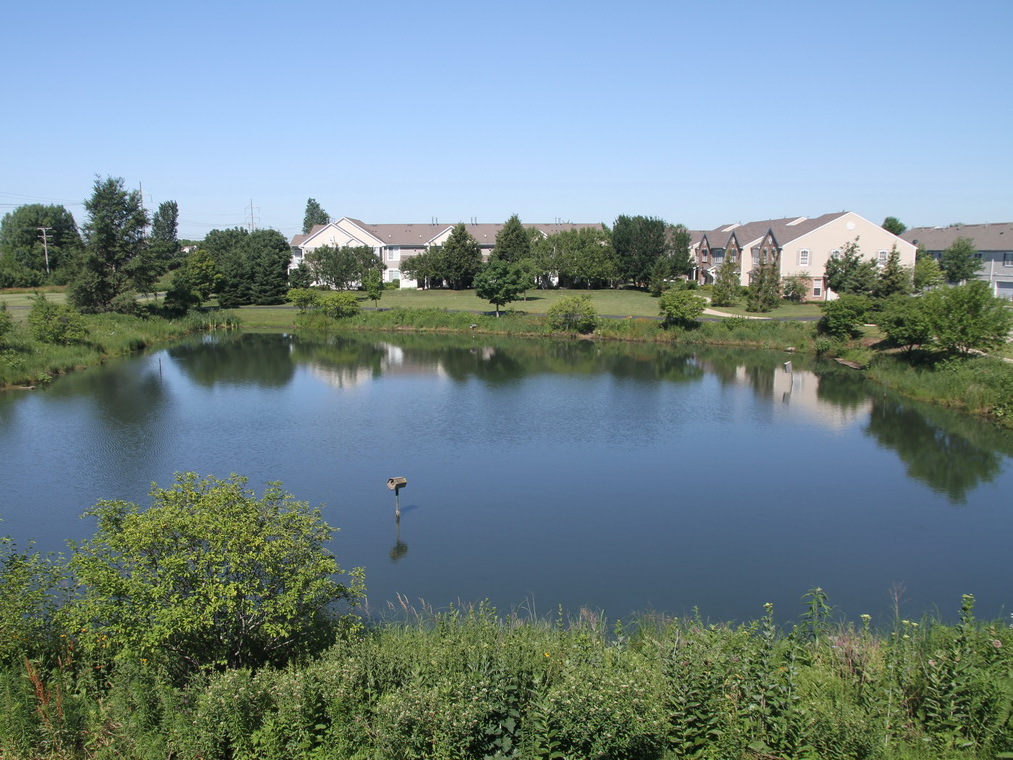 207 Springbrook Trail South Oswego, IL 60543 - Photo 14 of 14
