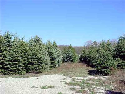 6578 West Filmore Road Mears, MI 49436 - Photo 3 of 7 Additional Photo