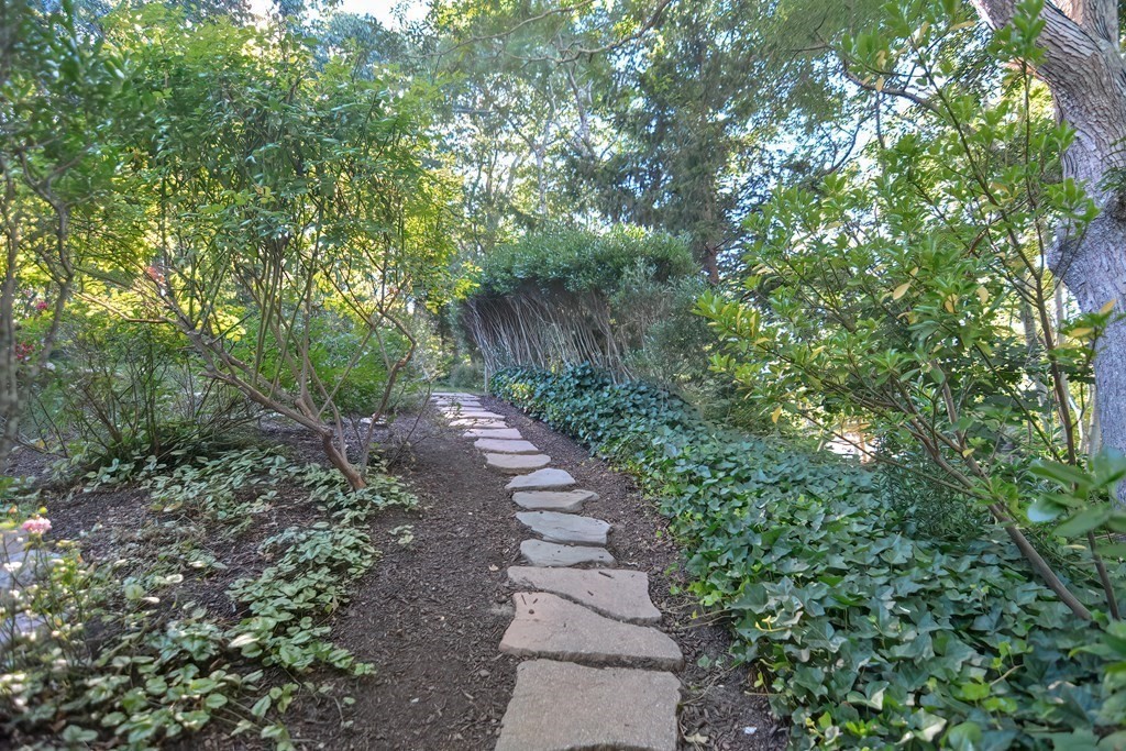 5 Tower Hill Drive Sandwich, MA 02563 - Photo 39 of 41 a picture of trees