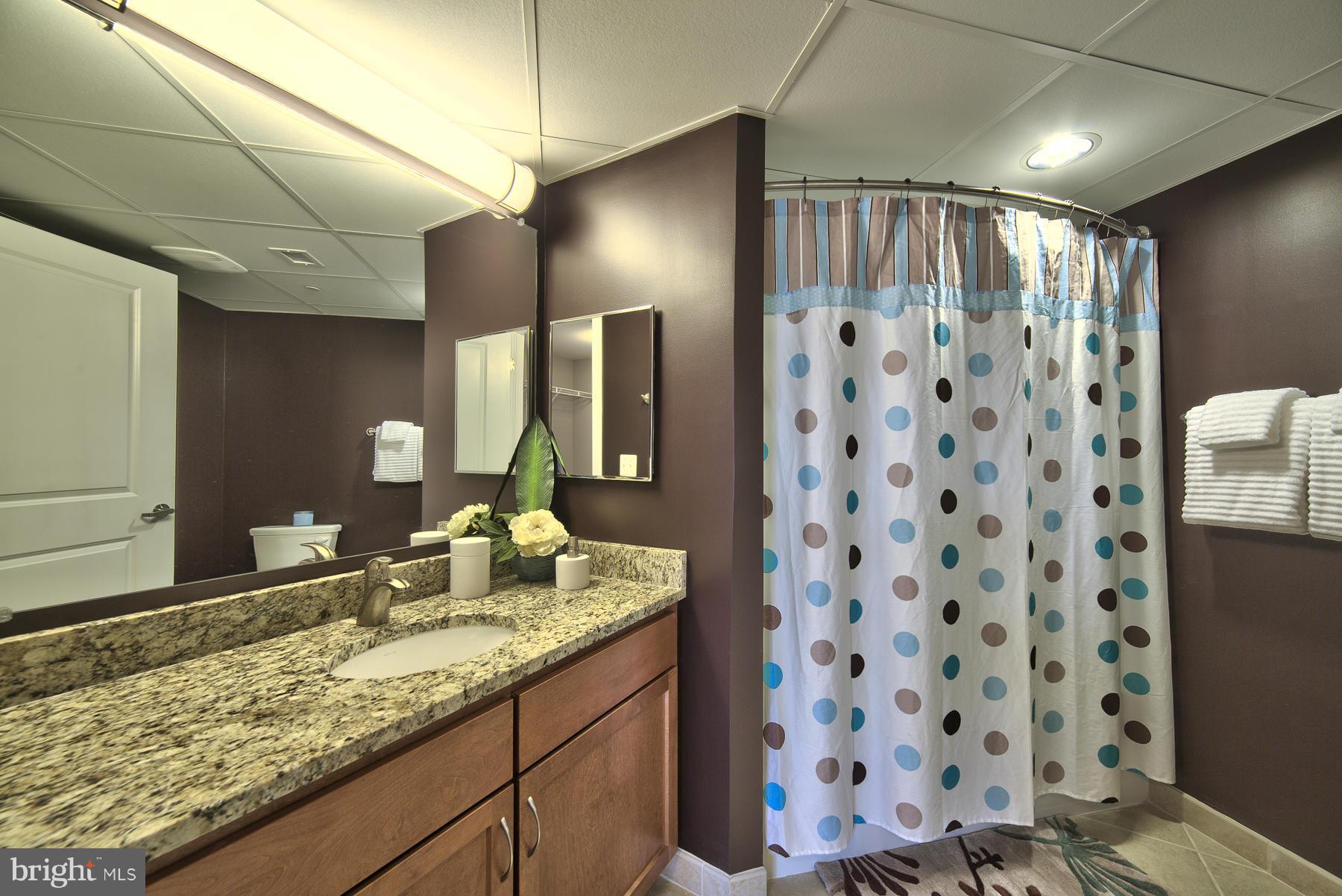 2700 Dorr Avenue, Unit 2 BR 2 Fairfax, VA 22031 - Photo 13 of 30 a bathroom with a granite countertop sink a toilet and shower