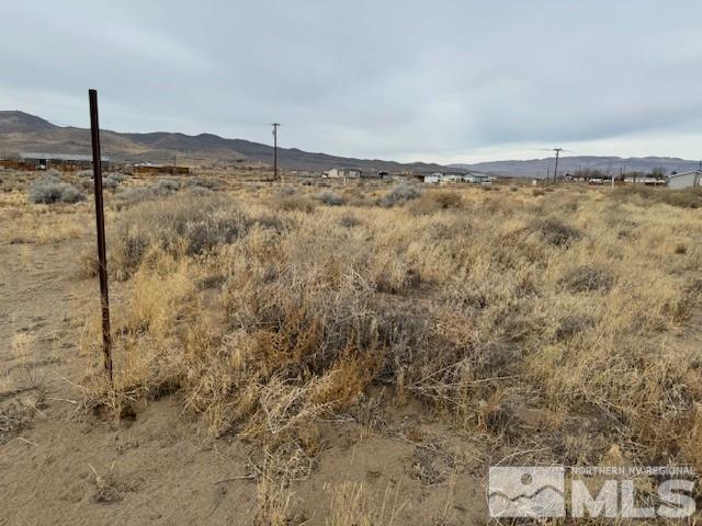 7695 Remington Road Silver Springs, NV 89429 - Photo 13 of 22 Photo 13