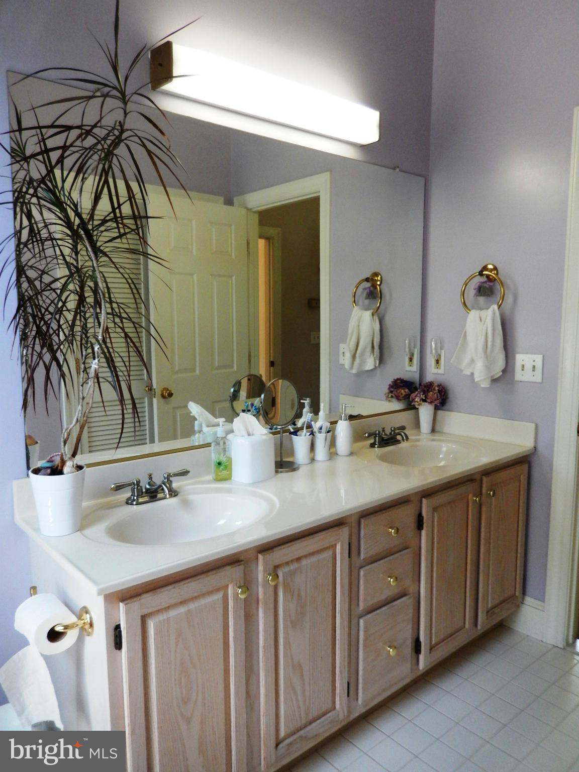 2722 Chain Bridge Road Vienna, VA 22181 - Photo 14 of 29 Bath (Master)