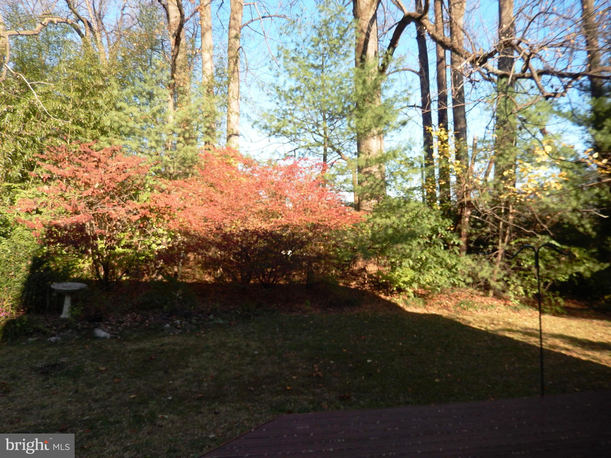 2722 Chain Bridge Road Vienna, VA 22181 - Photo 19 of 29 Exterior (Rear)