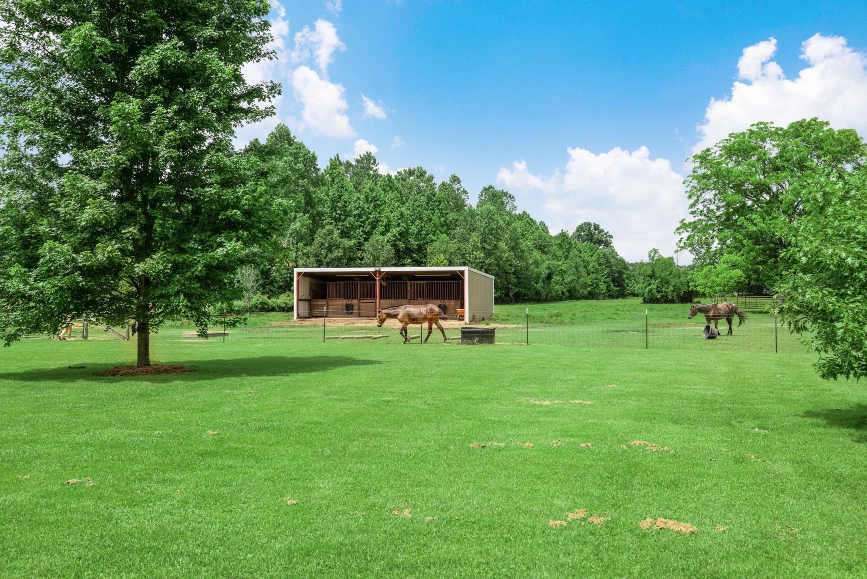 8905 Miller Road Millington, TN 38053 - Photo 7 of 34 Gallery Image 7