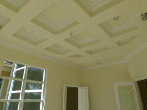 3781 Red Maple Circle Delray Beach, FL 33445 - Photo 15 of 21 Ceiling.jpg
