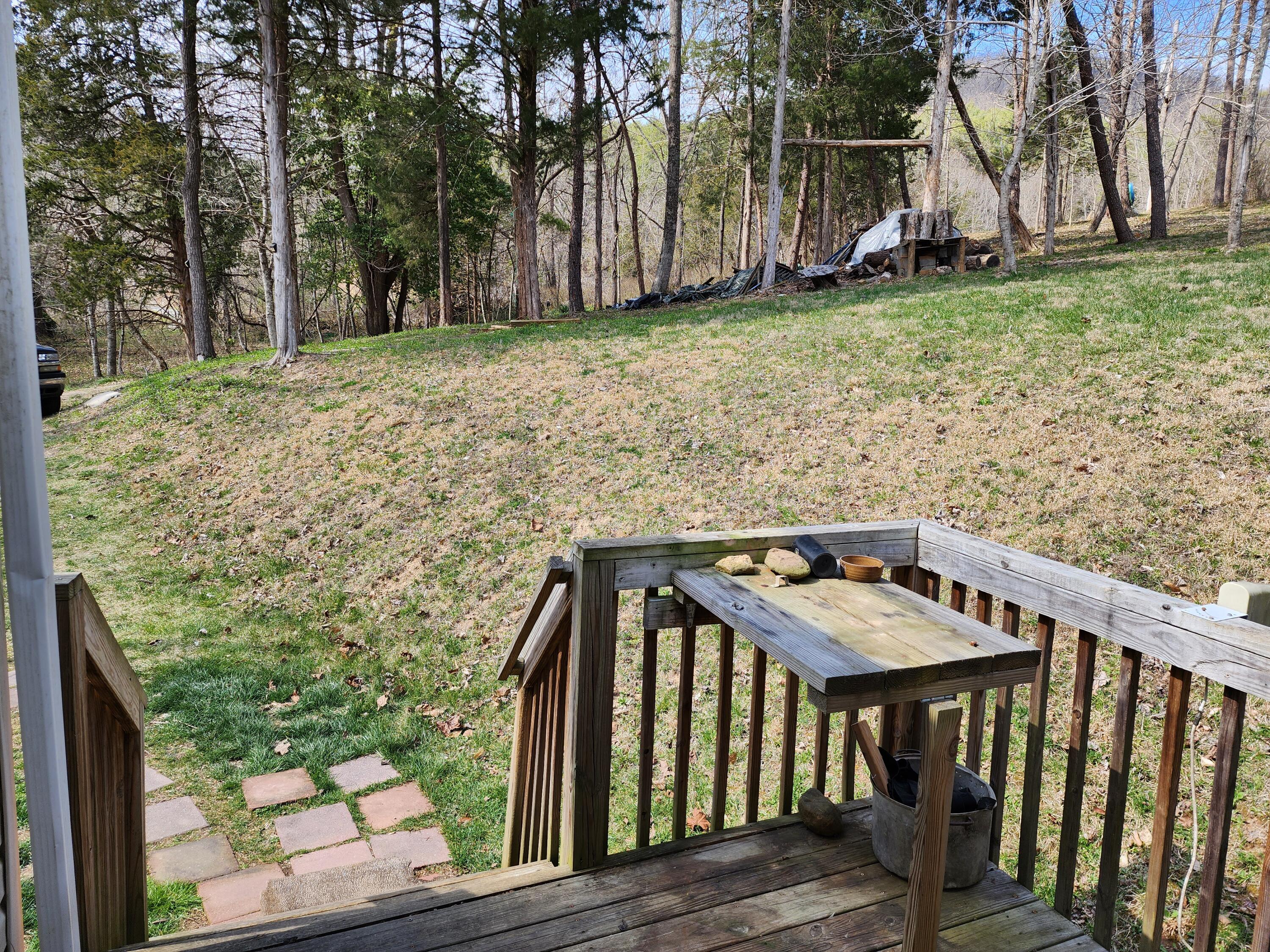 1926 Mt Pleasant Road Shawsville, VA 24162 - Photo 34 of 36 20230324_151651
