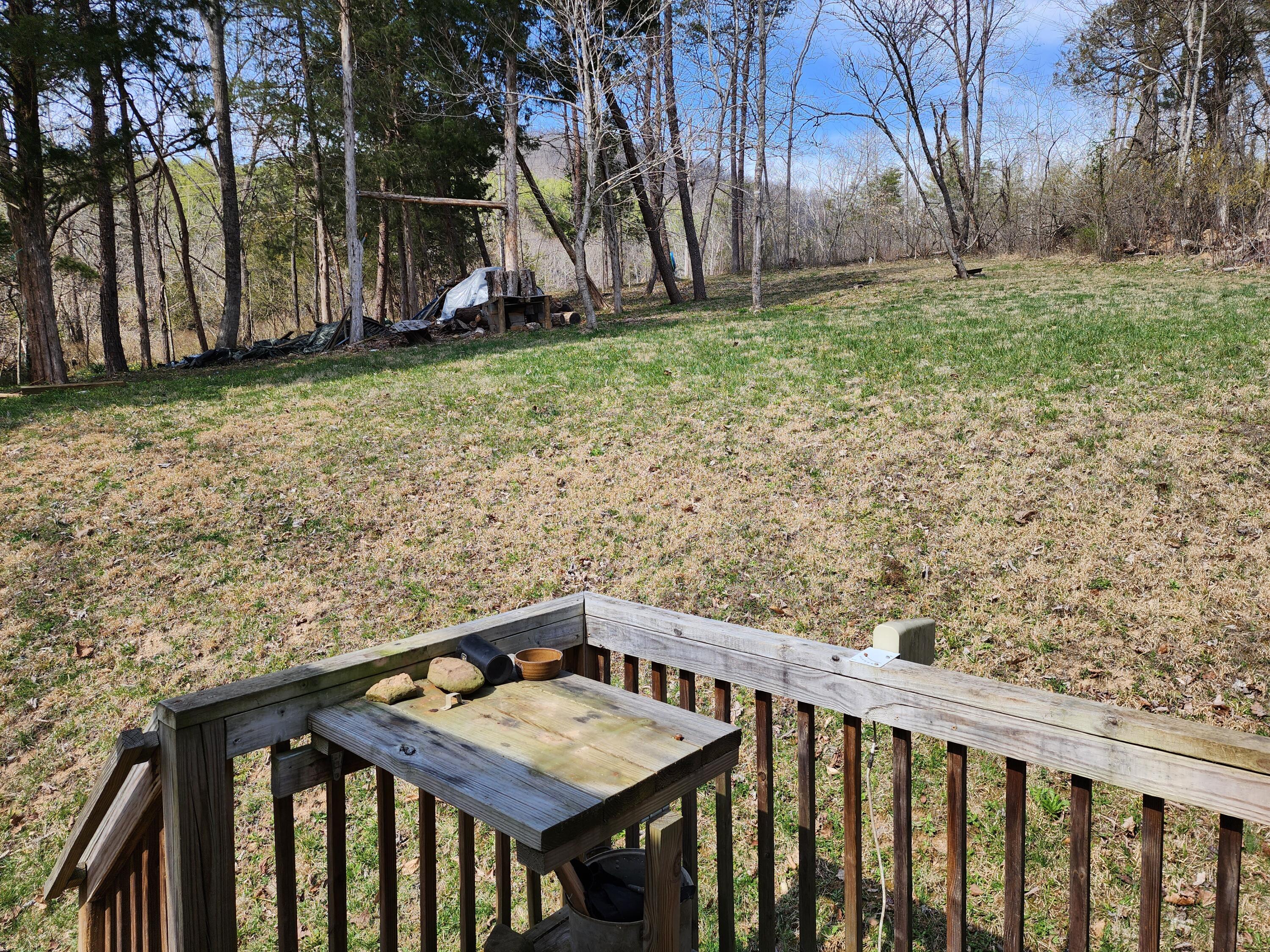 1926 Mt Pleasant Road Shawsville, VA 24162 - Photo 35 of 36 20230324_151655