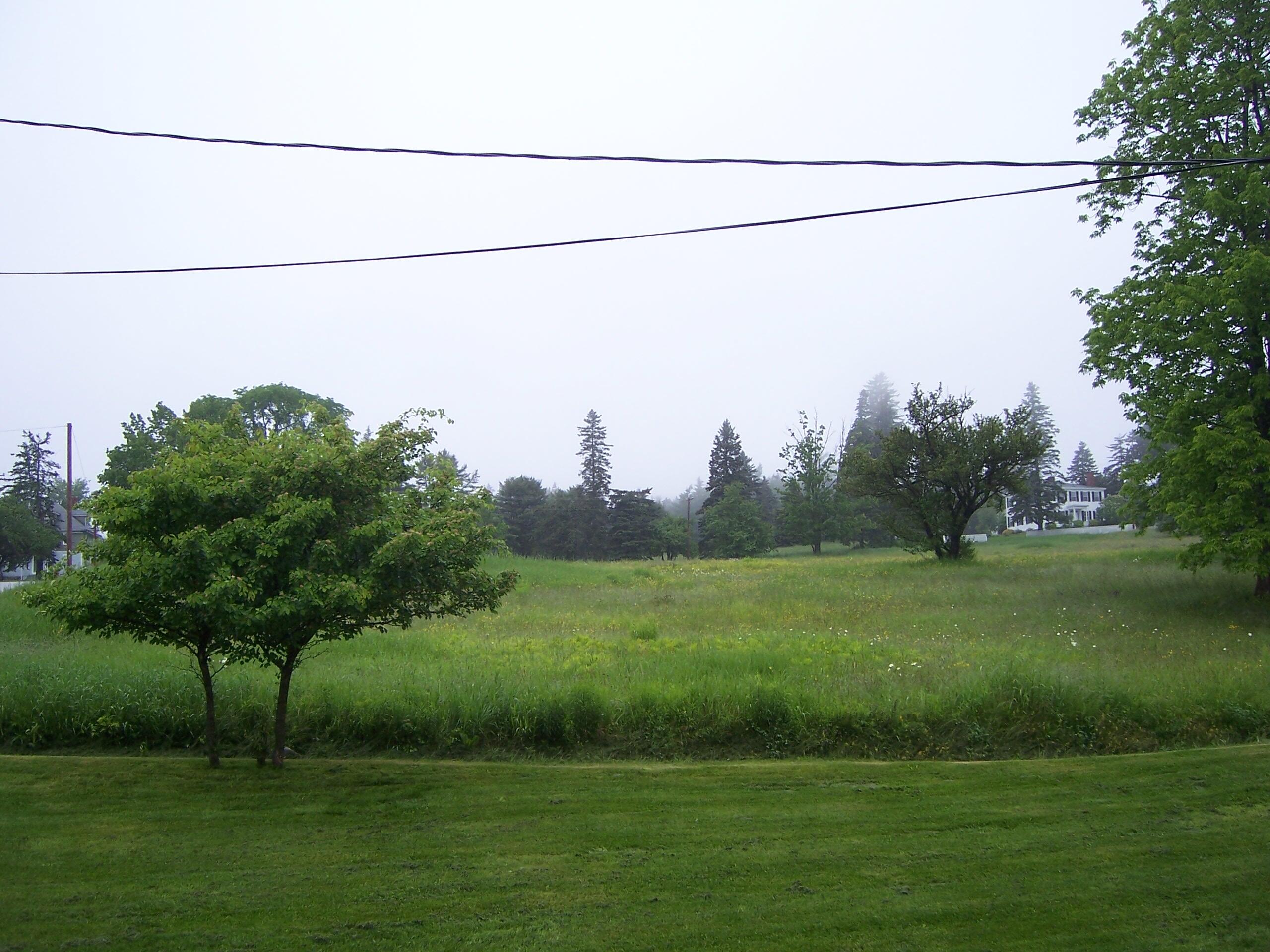 37 Tarratine Street Castine, ME 04421 - Photo 58 of 60 Conservation