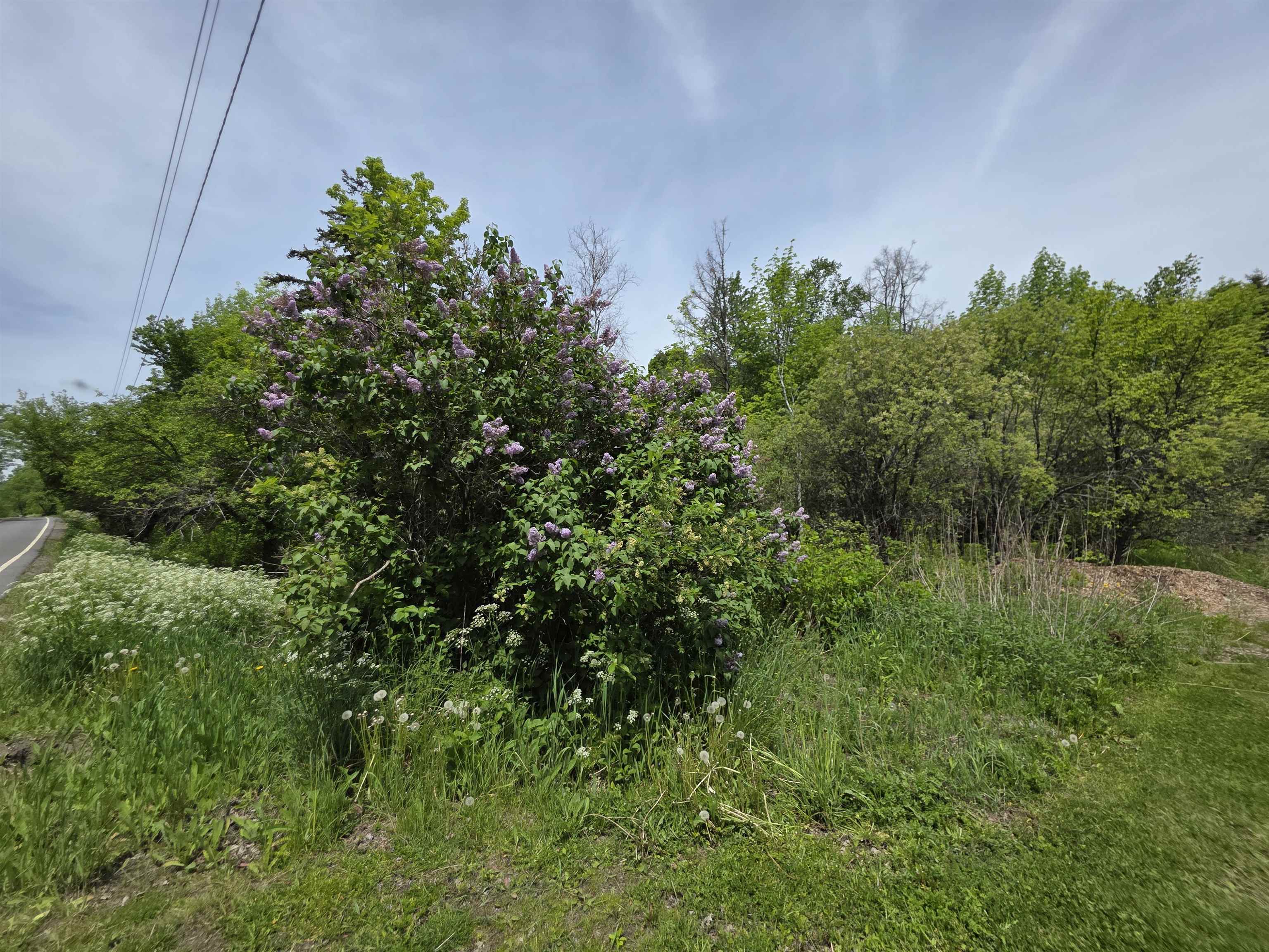2731 Vt Route Marshfield, VT 05658 - Photo 10 of 45