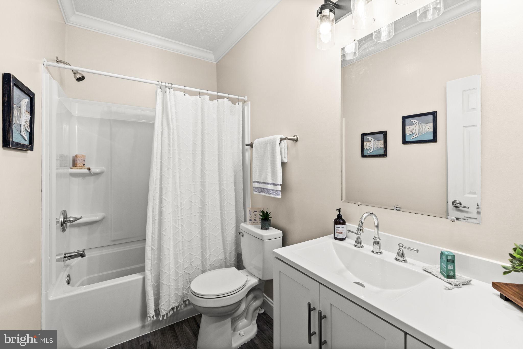 1271 Apple Grove Road Mineral, VA 23117 - Photo 36 of 91 Full Hall Bath