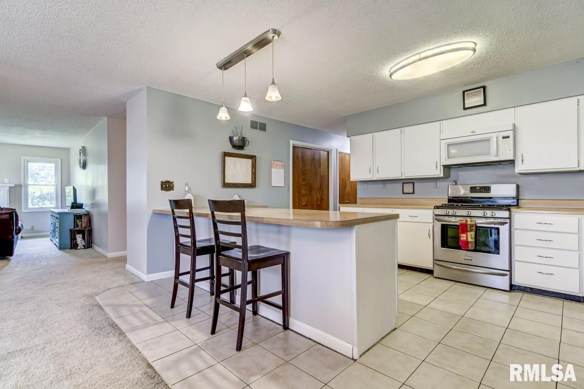 5423 Old Jacksonville Road Springfield, IL 62711 - Photo 12 of 46 Gallery Image 12