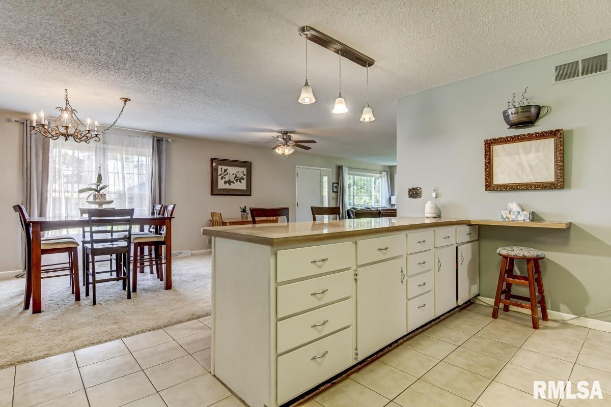 5423 Old Jacksonville Road Springfield, IL 62711 - Photo 15 of 46 Gallery Image 15