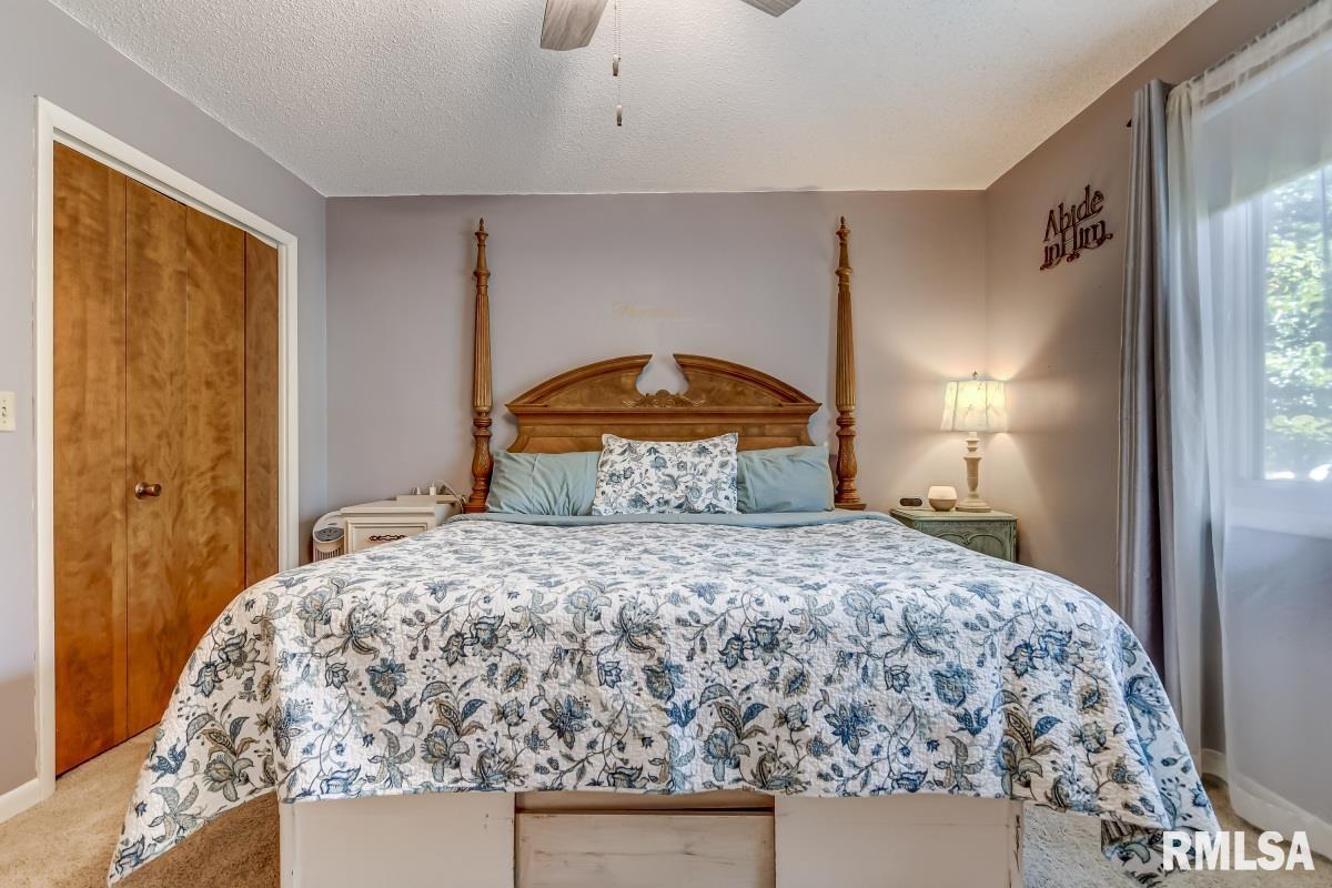 5423 Old Jacksonville Road Springfield, IL 62711 - Photo 18 of 46 Gallery Image 18