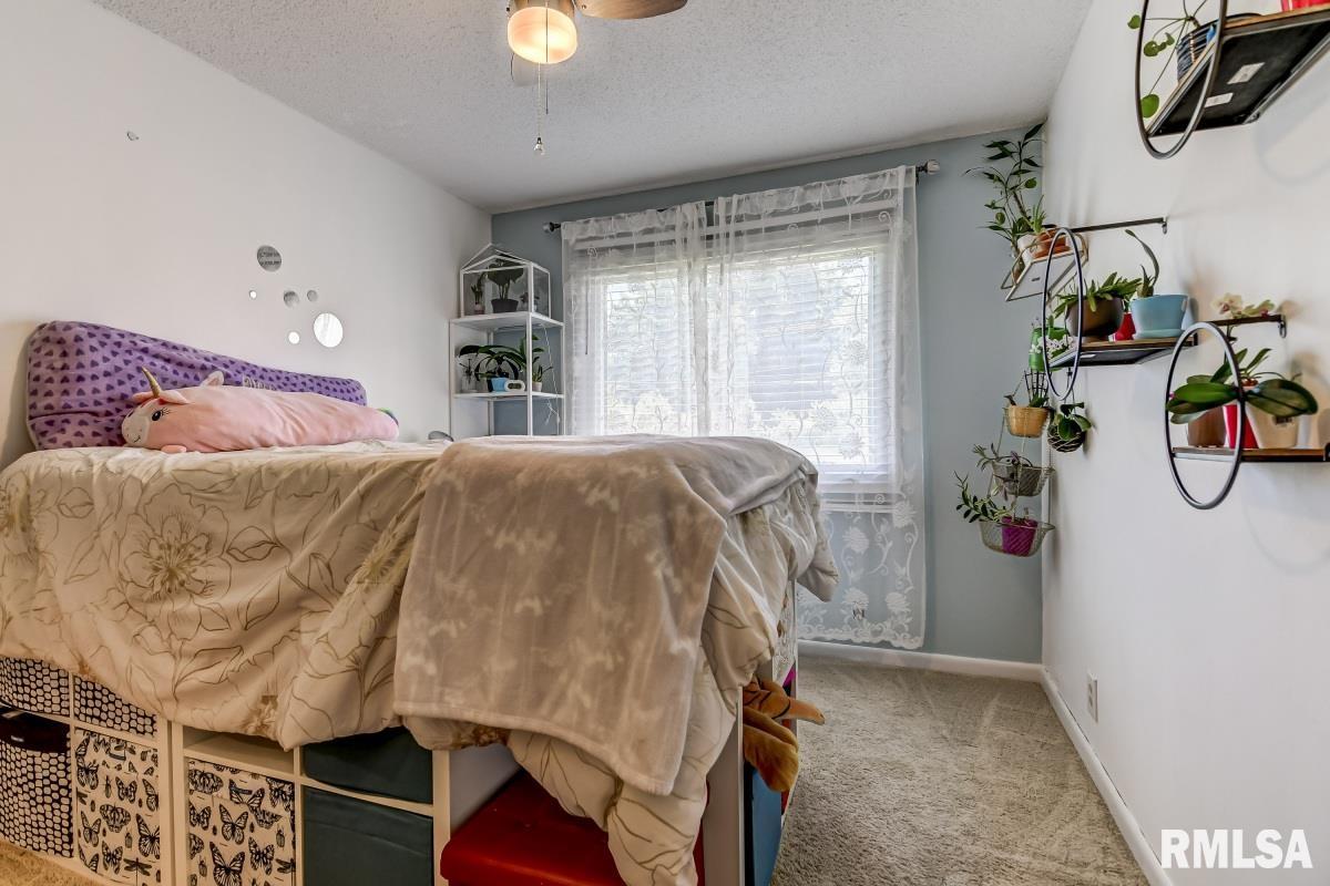 5423 Old Jacksonville Road Springfield, IL 62711 - Photo 22 of 46 Gallery Image 22