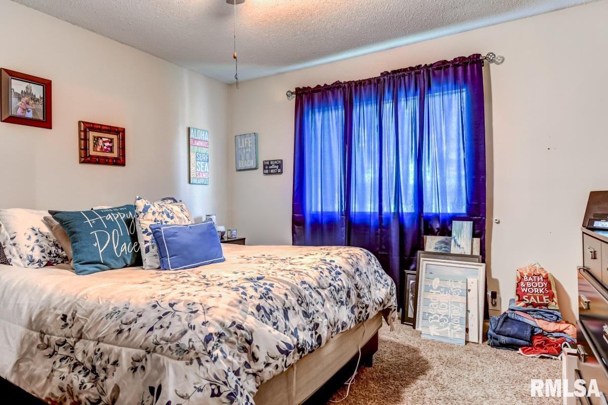 5423 Old Jacksonville Road Springfield, IL 62711 - Photo 44 of 46 Gallery Image 44