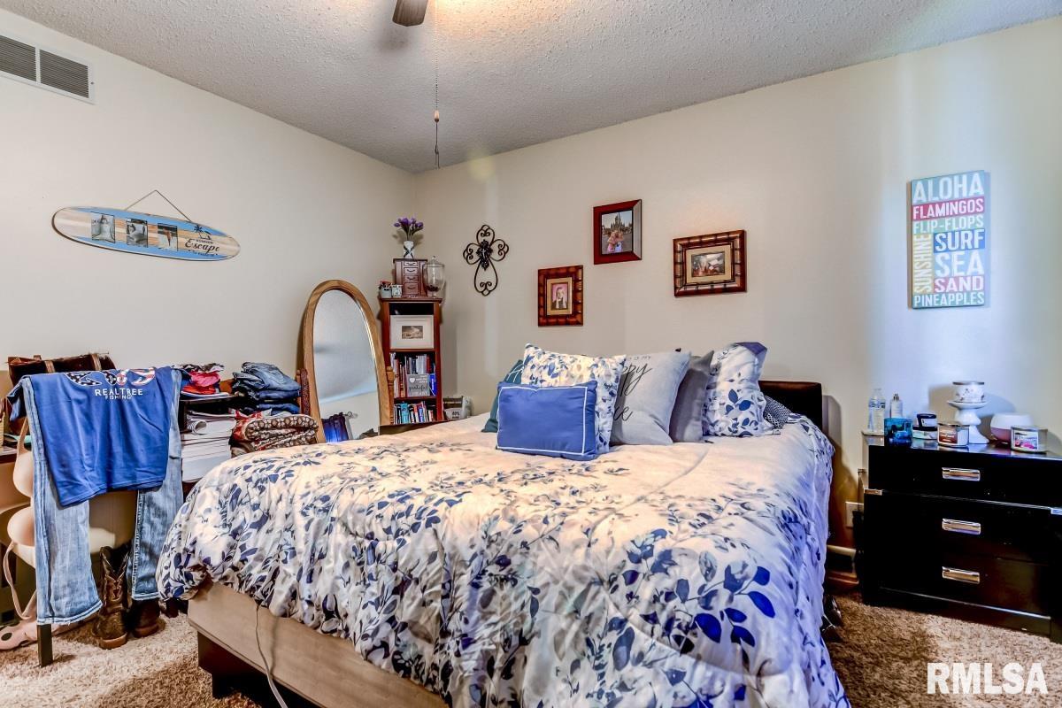 5423 Old Jacksonville Road Springfield, IL 62711 - Photo 45 of 46 Gallery Image 45