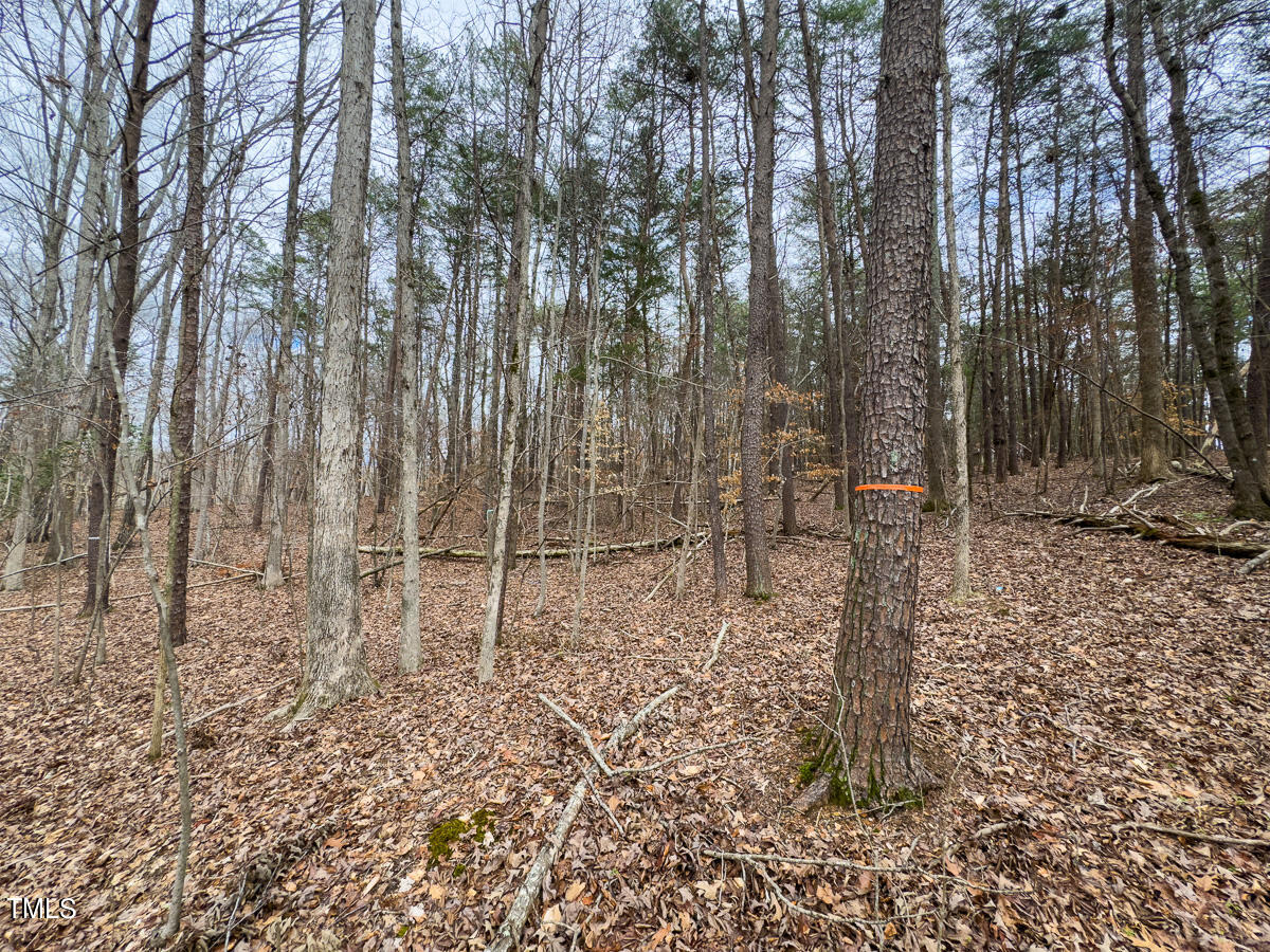 2-3 Howle Drive Burlington, NC 27215 - Photo 51 of 52 Alamamce Co. NC 1.70-Backwoods-Howle-Lot