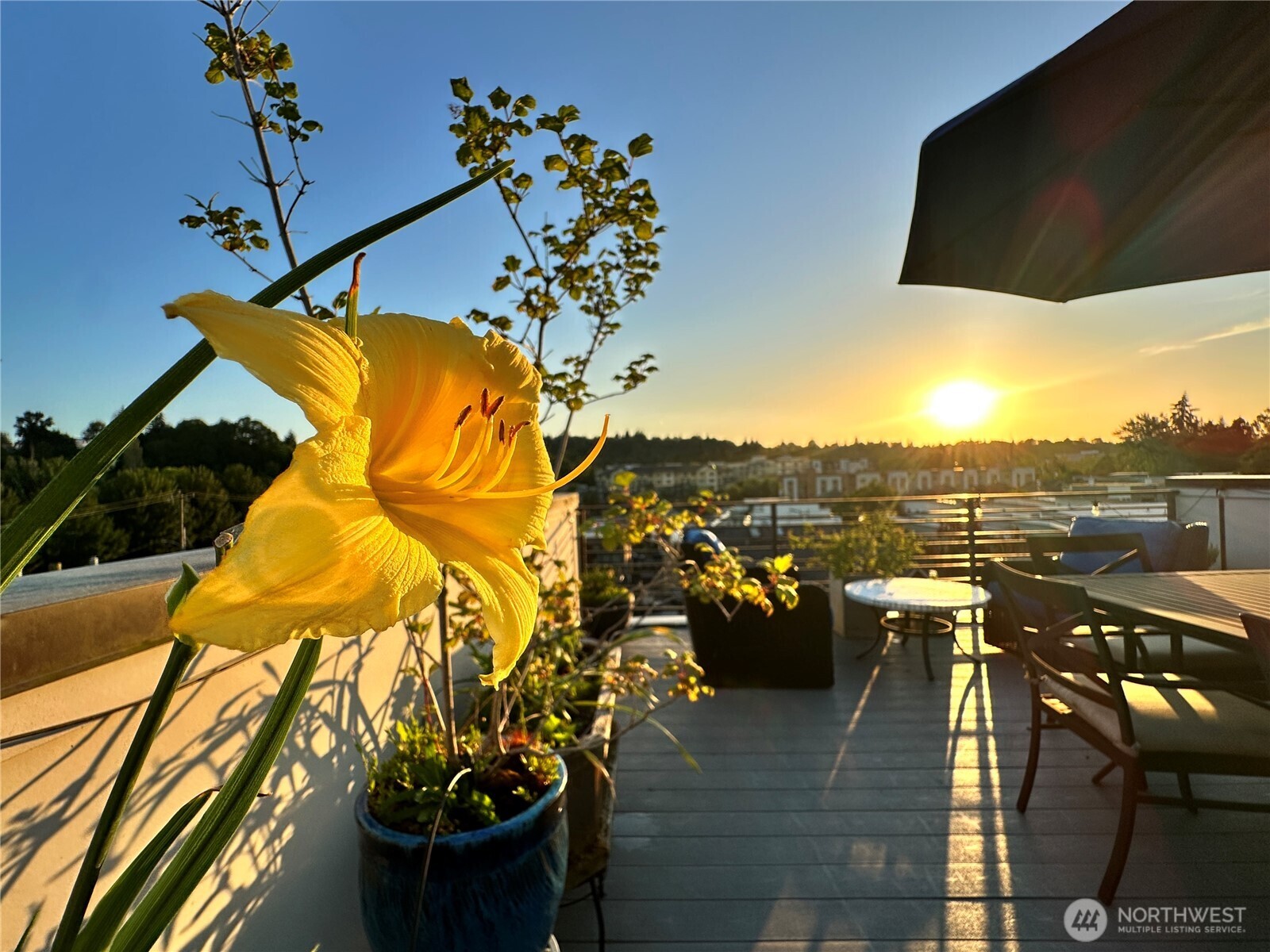 3638 Courtland Place South, Unit B Seattle, WA 98144 - Photo 24 of 33