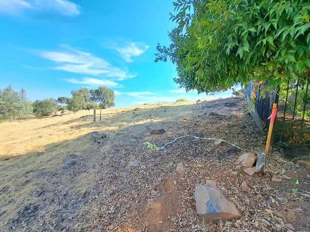 a view of a yard with an ocean beach