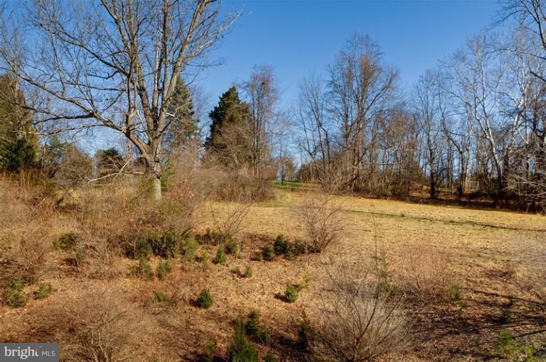 38774 Lime Kiln Road Leesburg, VA 20175 - Photo 4 of 30 Side yard with room to play!
