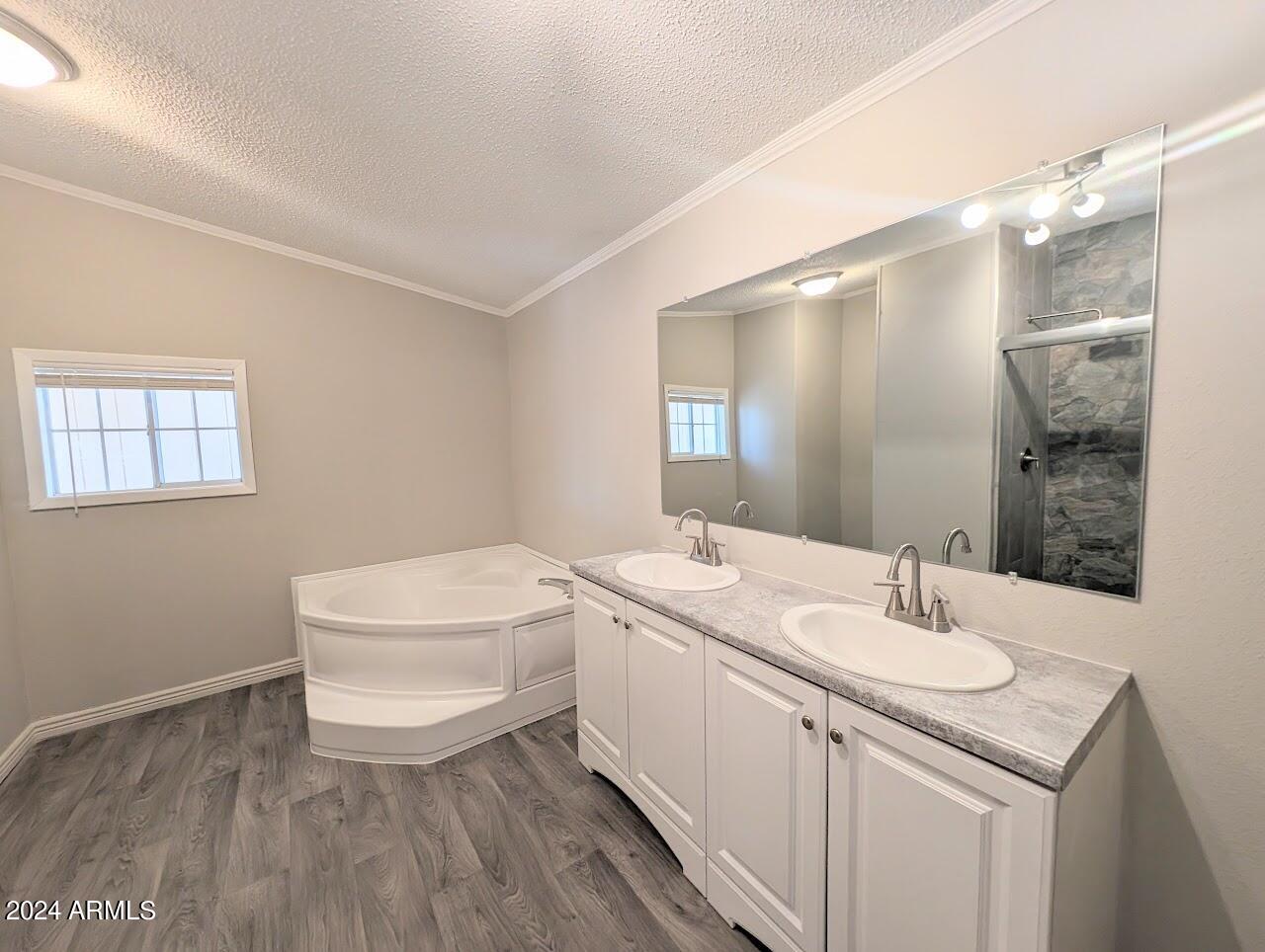 2668 South Acacia Road Apache Junction, AZ 85119 - Photo 11 of 17 Acacia primary bath3
