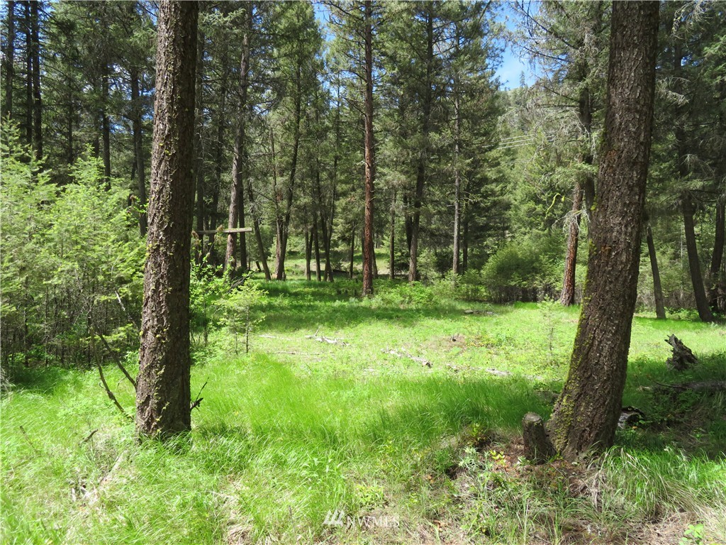 -tbd Toroda Creek Road Curlew, WA 99118 - Photo 2 of 17 Gallery Image 2