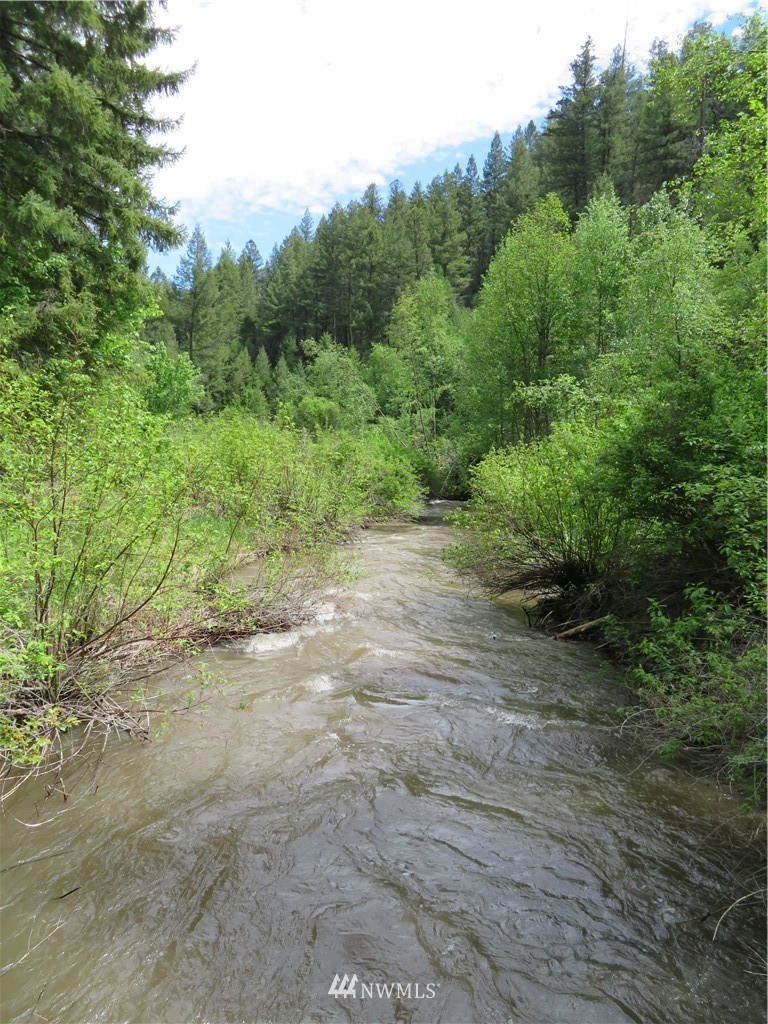 -tbd Toroda Creek Road Curlew, WA 99118 - Photo 12 of 17 Gallery Image 12