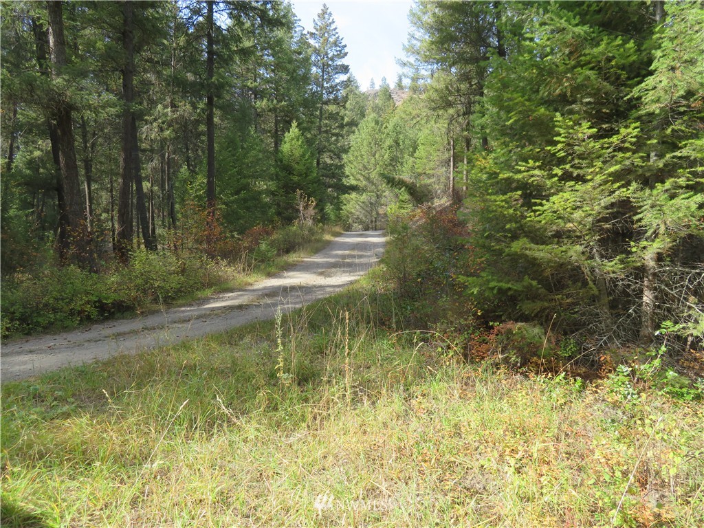 -tbd Toroda Creek Road Curlew, WA 99118 - Photo 13 of 17 Gallery Image 13