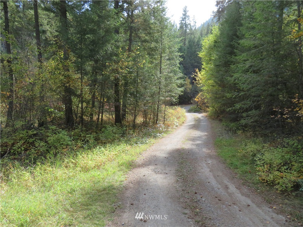 -tbd Toroda Creek Road Curlew, WA 99118 - Photo 14 of 17 Gallery Image 14