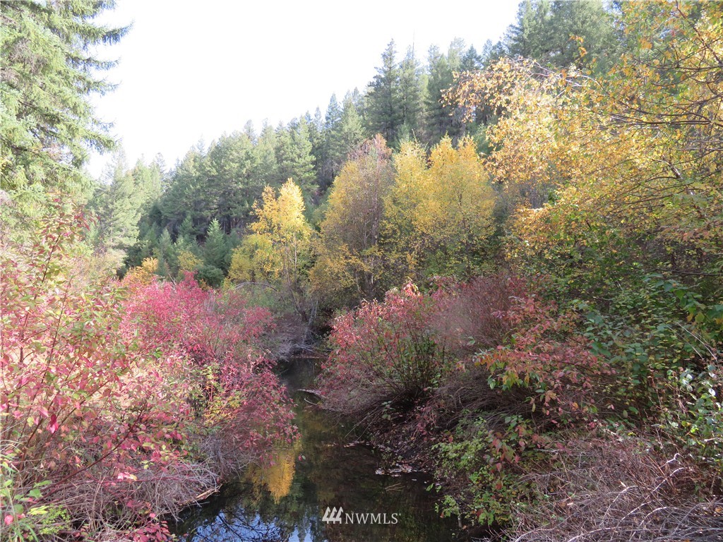 -tbd Toroda Creek Road Curlew, WA 99118 - Photo 15 of 17 Gallery Image 15