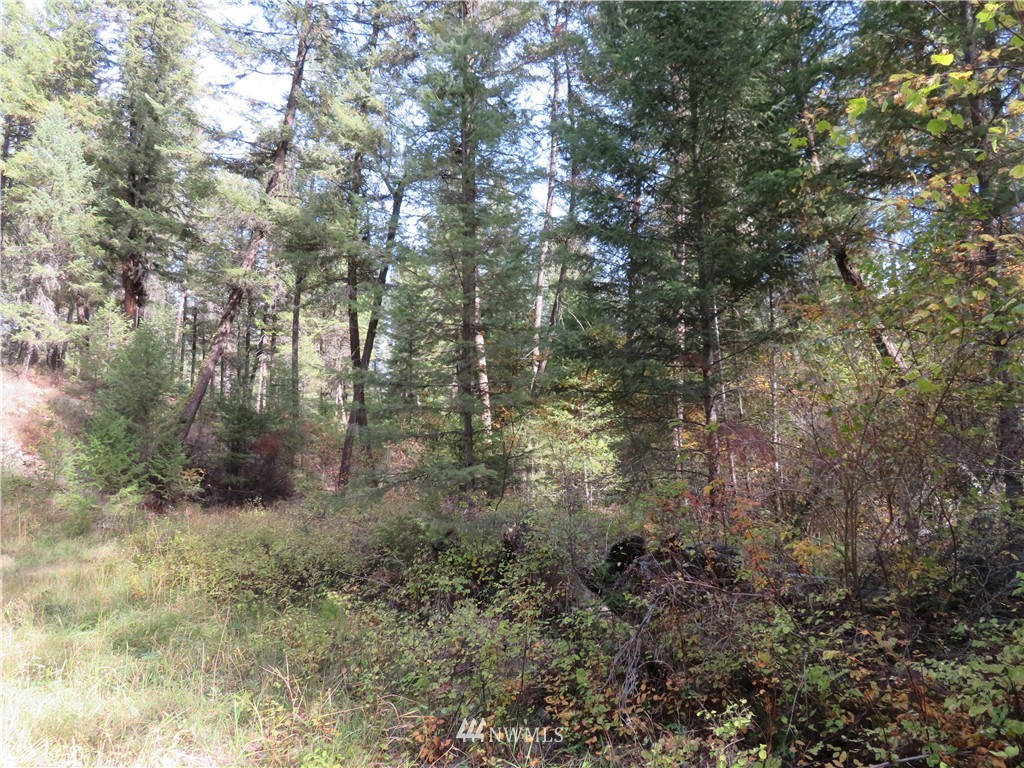 -tbd Toroda Creek Road Curlew, WA 99118 - Photo 17 of 17 Gallery Image 17