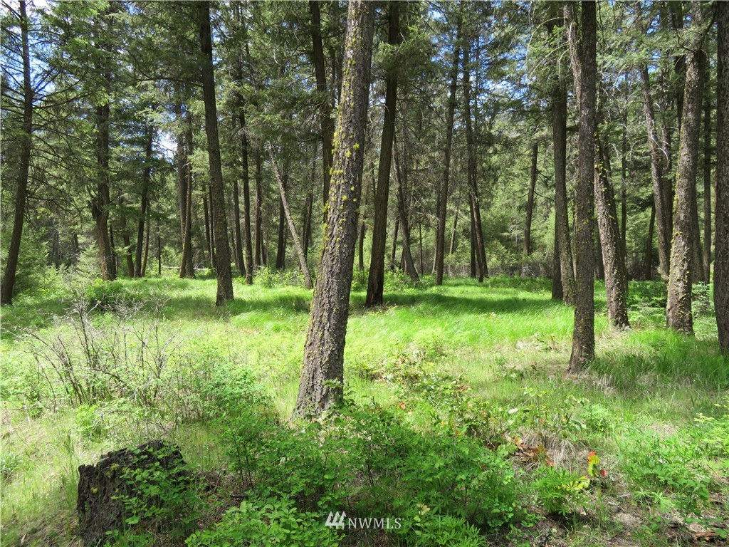 -tbd Toroda Creek Road Curlew, WA 99118 - Photo 3 of 17 Gallery Image 3